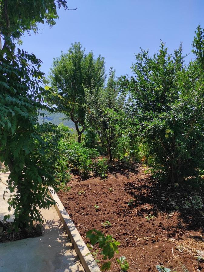 One Bedroom Apartment Gogo With Private Parking Neum Exterior photo